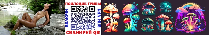 где продают наркотики  Власиха  darknet Telegram  Псилоцибиновые грибы Cubensis  ОМГ ОМГ маркетплейс 