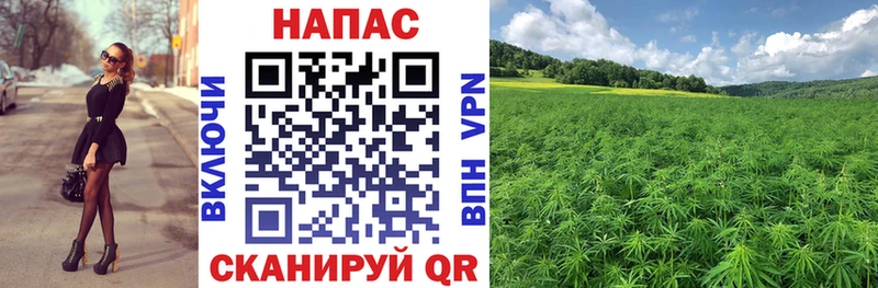 Канабис White Widow  kraken зеркало  Власиха 